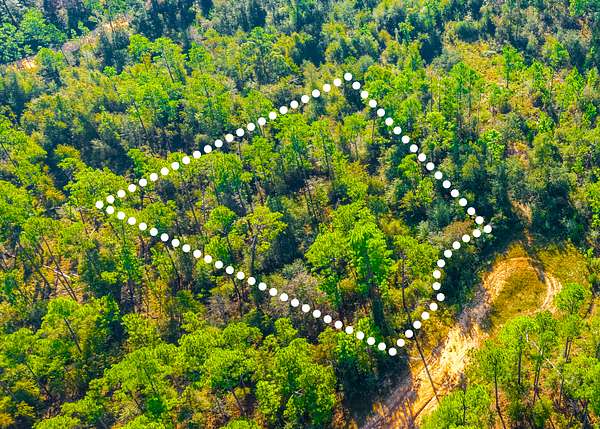 0.98 Acres of Residential Land for Sale in Alford, Florida
