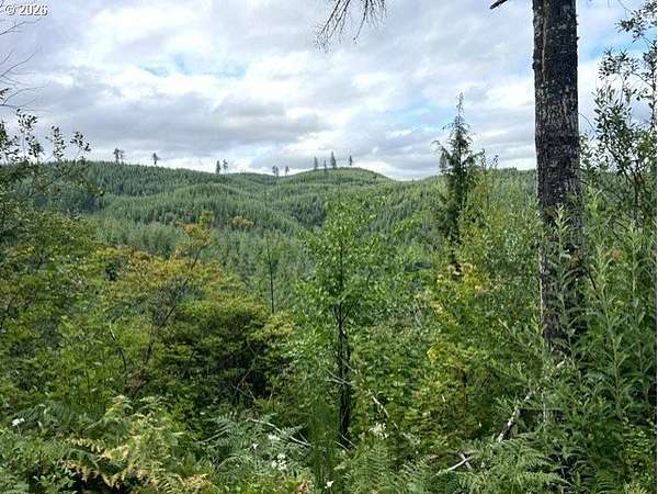 79.2 Acres of Recreational Land for Sale in Timber, Oregon