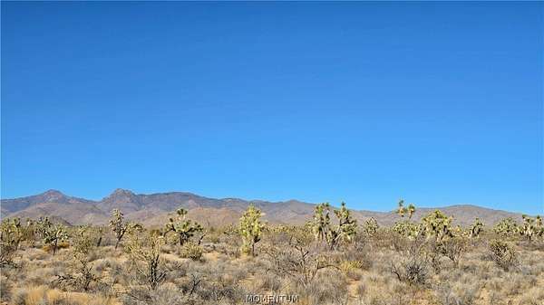 80 Acres of Land for Sale in Yucca, Arizona