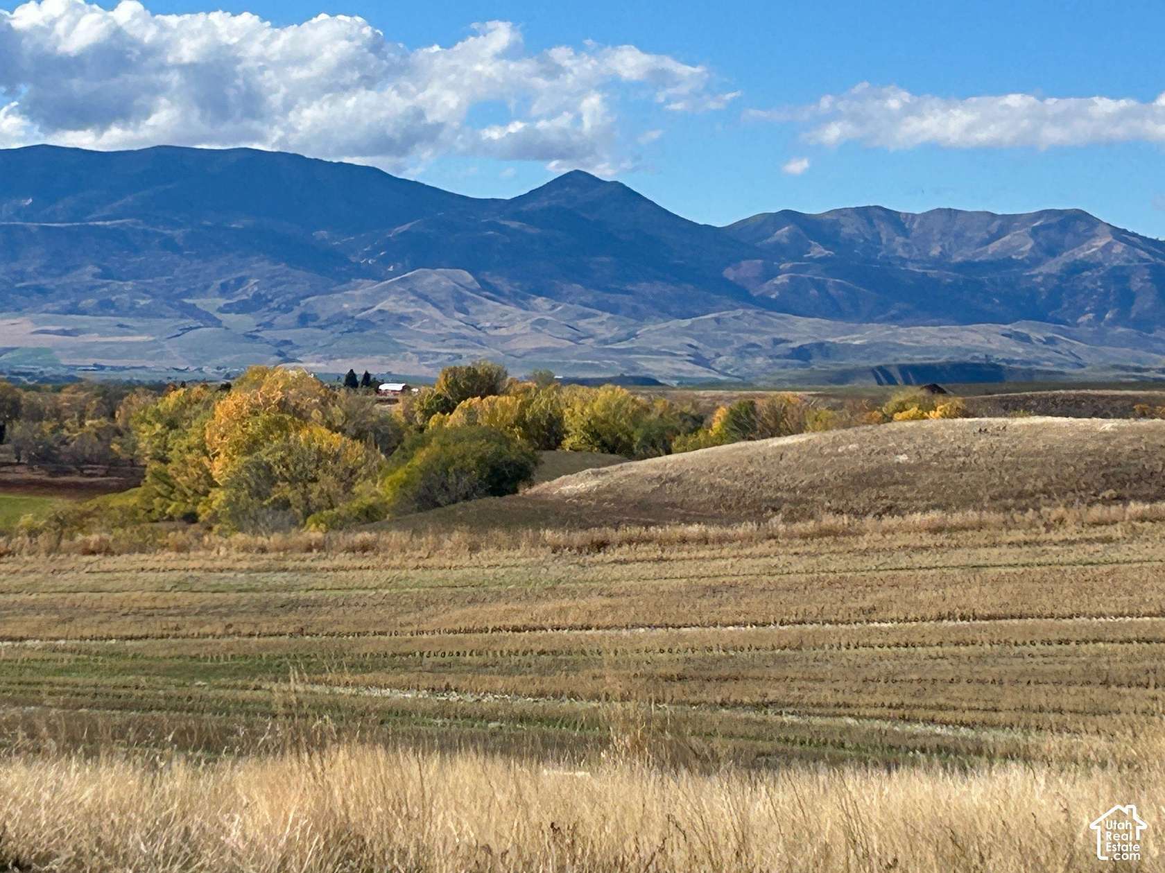 40 Acres of Land for Sale in Preston, Idaho