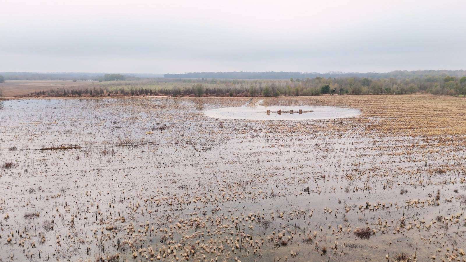 186 Acres of Improved Land for Sale in Charleston, Mississippi