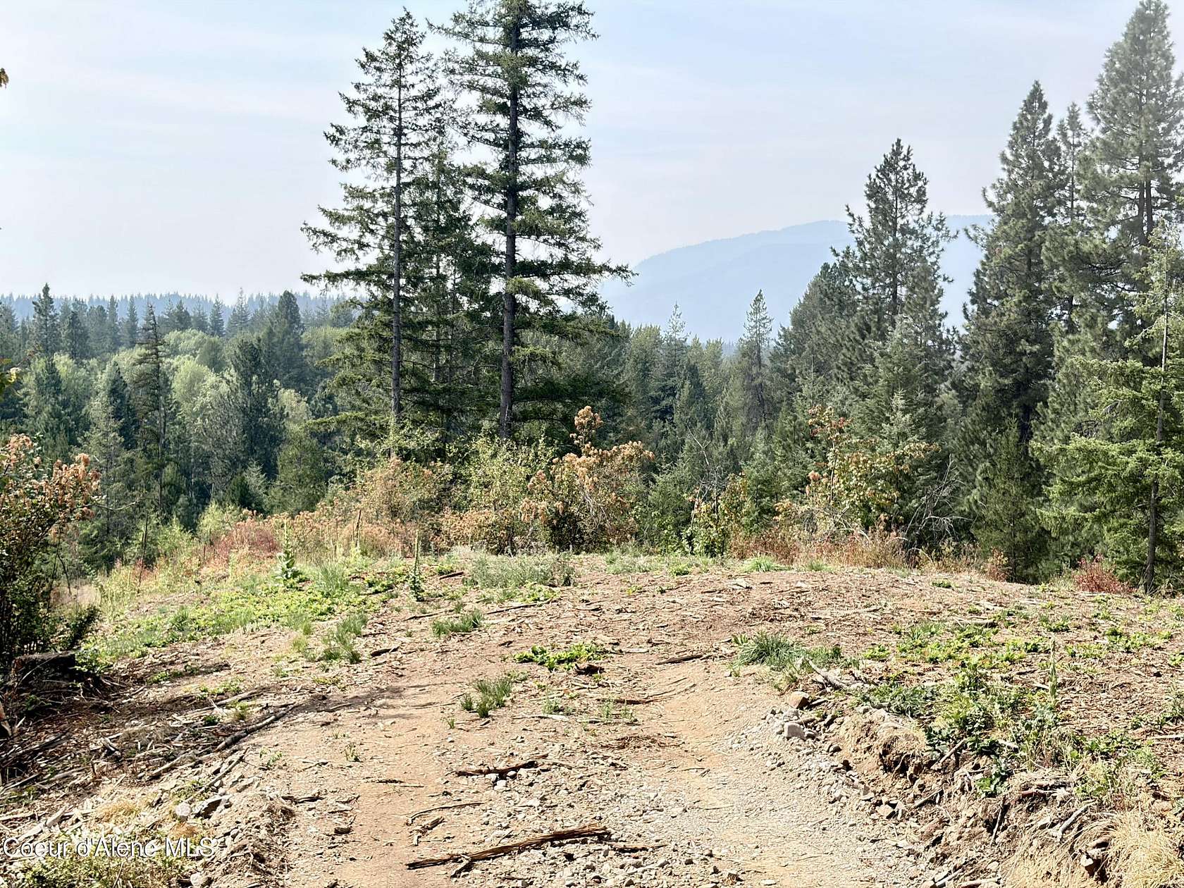 40 Acres of Land for Sale in Sandpoint, Idaho