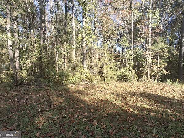 2 Acres of Land for Sale in Bremen, Georgia