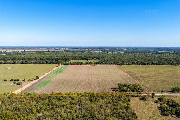 45.6 Acres of Land for Sale in Paris, Texas