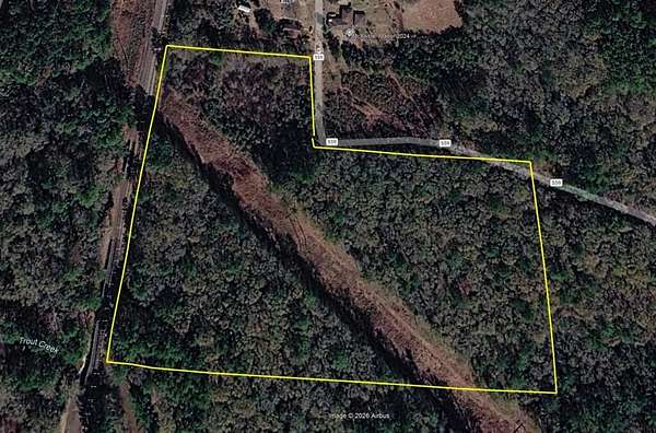 10 Acres of Recreational Land for Sale in Kirbyville, Texas