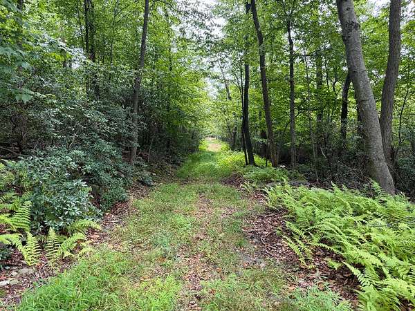 176 Acres of Recreational Land for Sale in Thurmont, Maryland