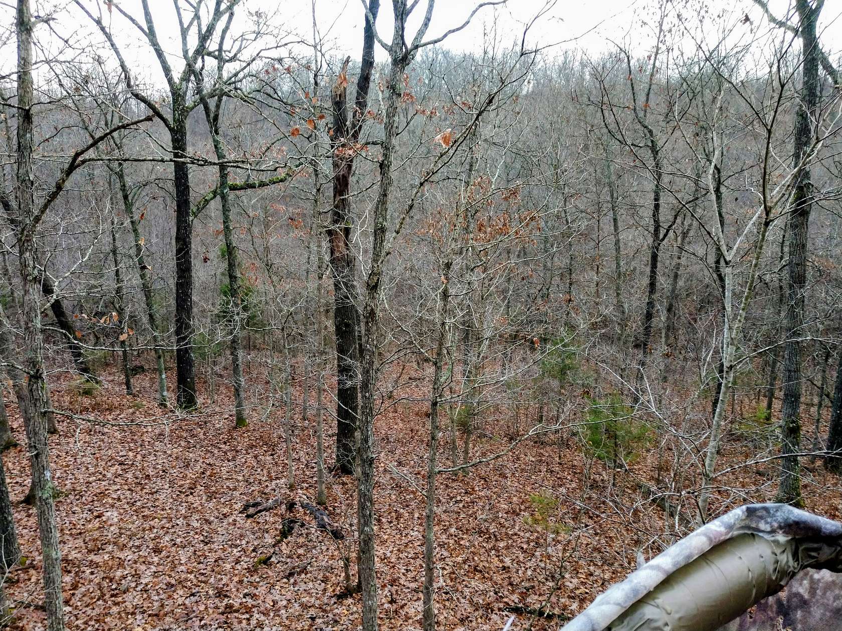 22.6 Acres of Recreational Land for Sale in Bruner, Missouri
