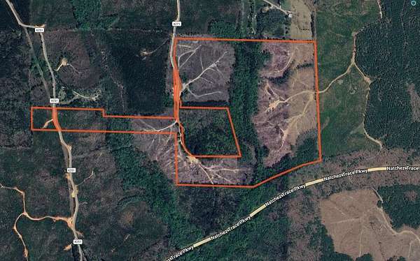 154 Acres of Recreational Land for Sale in New Site, Mississippi