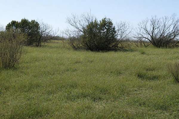 9 Acres of Land with Home for Sale in Canyon, Texas