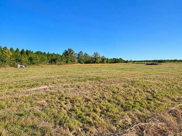 5 Acres of Residential Land for Sale in Williston, South Carolina