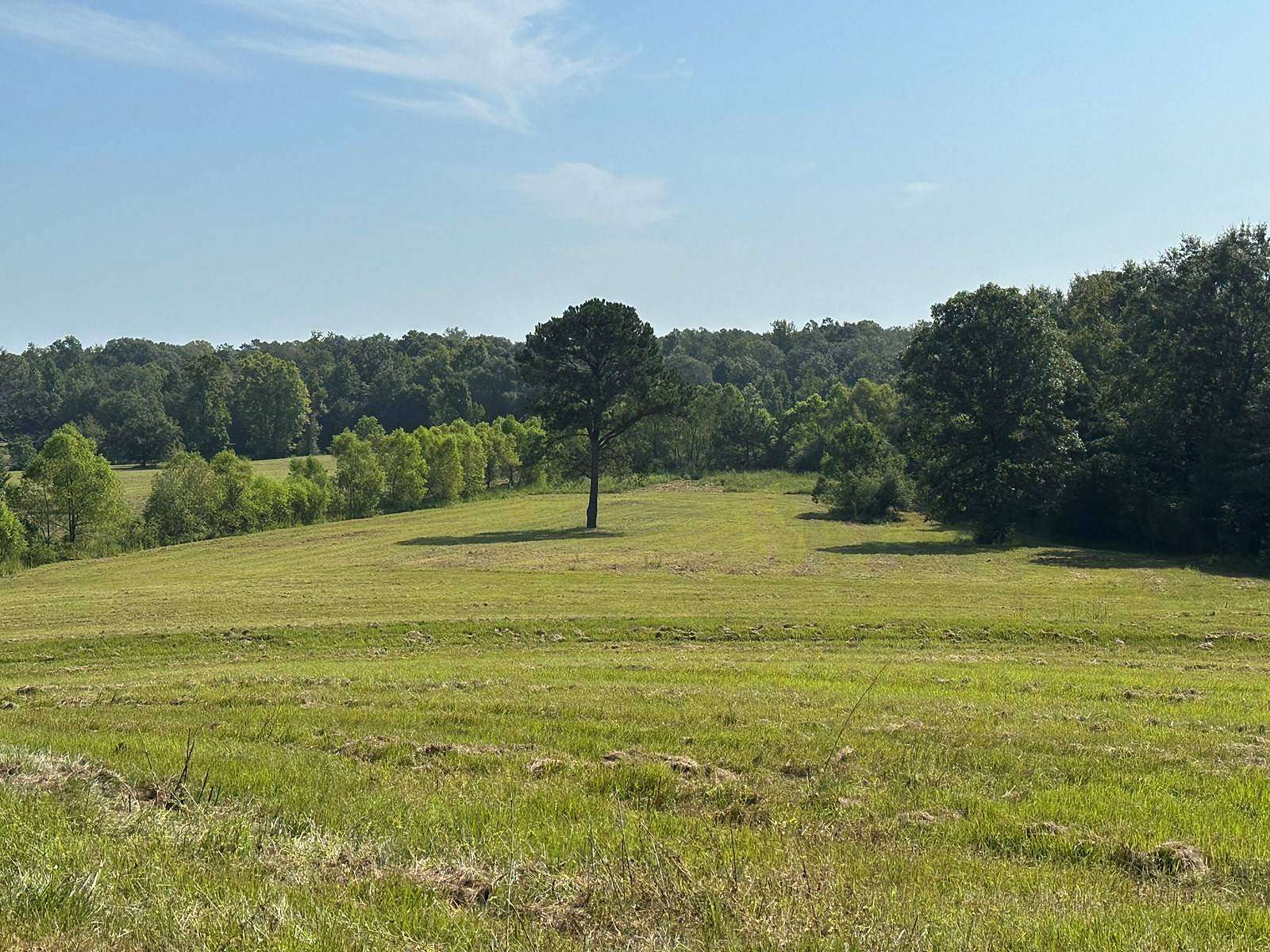 85 Acres of Agricultural & Residential Land for Sale in Brantley, Alabama