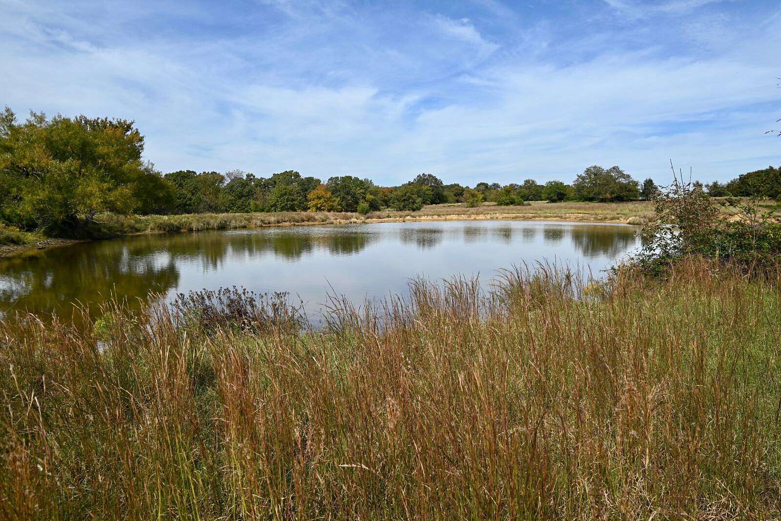 64.3 Acres of Land for Sale in Coleman, Oklahoma