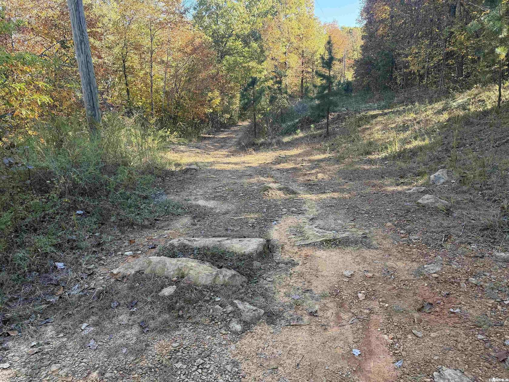 9.84 Acres of Land for Sale in Dennard, Arkansas