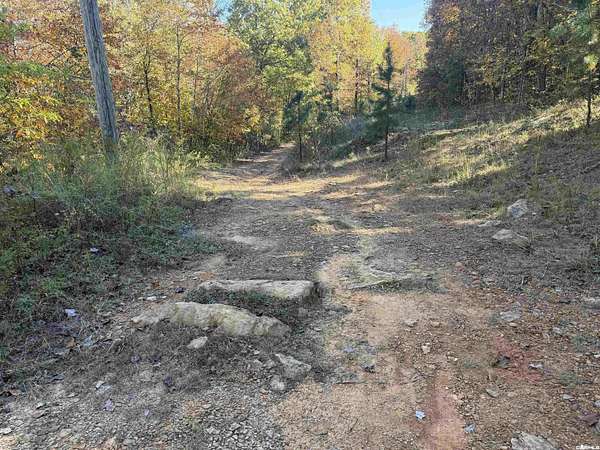 9.84 Acres of Land for Sale in Dennard, Arkansas