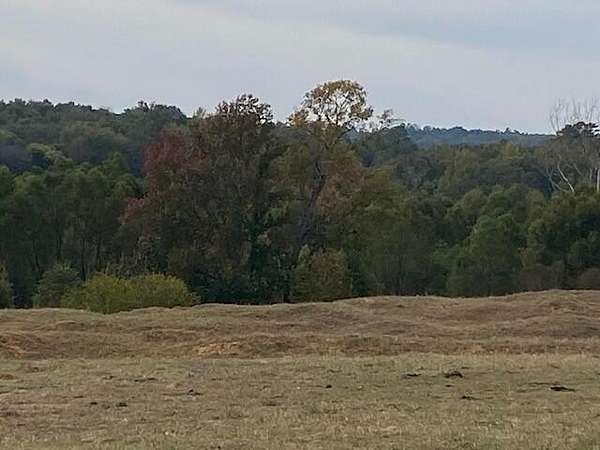 105 Acres of Recreational Land for Sale in Palestine, Texas