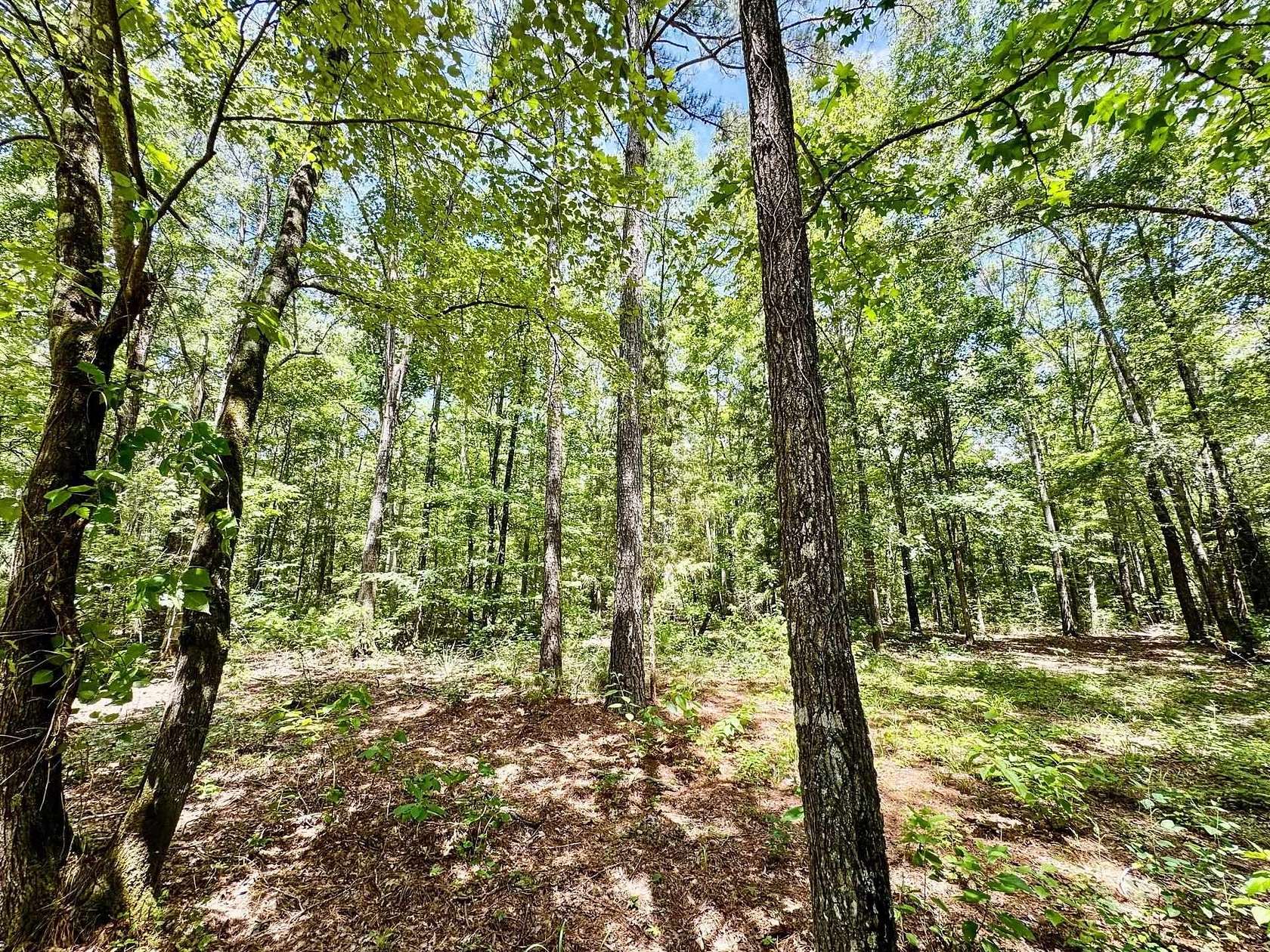 49.5 Acres of Recreational & Residential Land for Sale in Linden, Texas