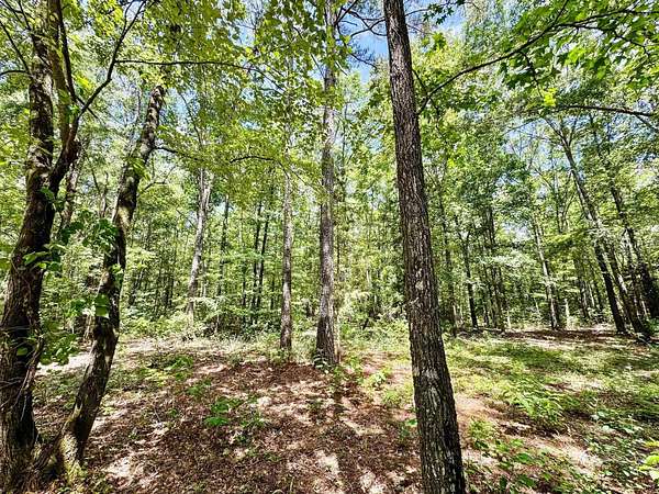 49.5 Acres of Recreational & Residential Land for Sale in Linden, Texas