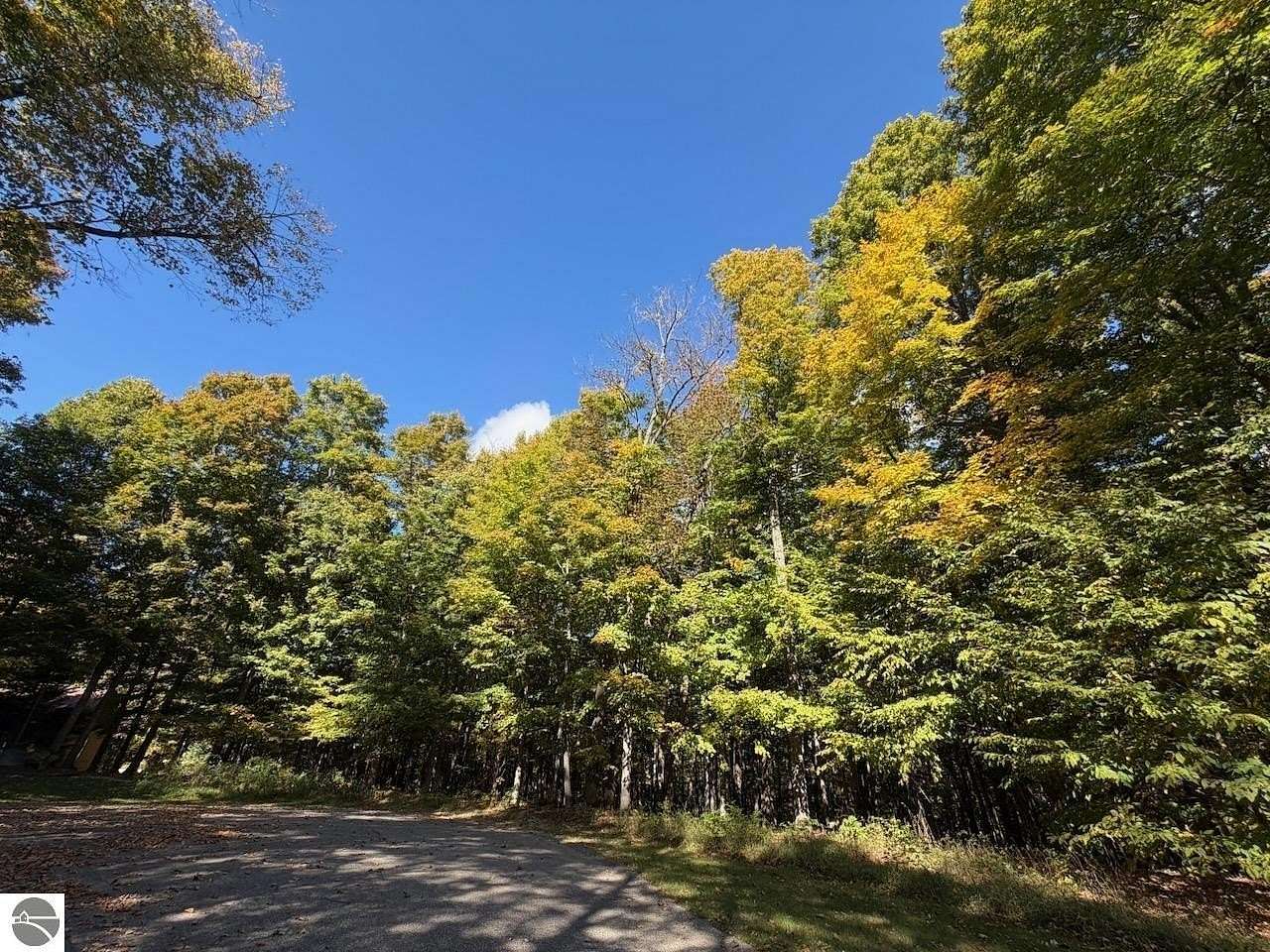 0.76 Acres of Residential Land for Sale in Bellaire, Michigan