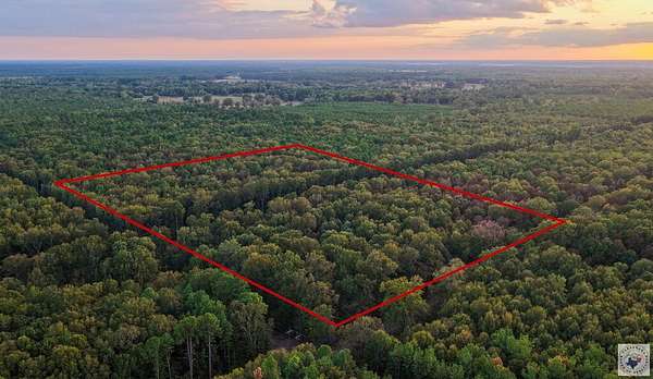 40.6 Acres of Land for Sale in Lewisville, Arkansas