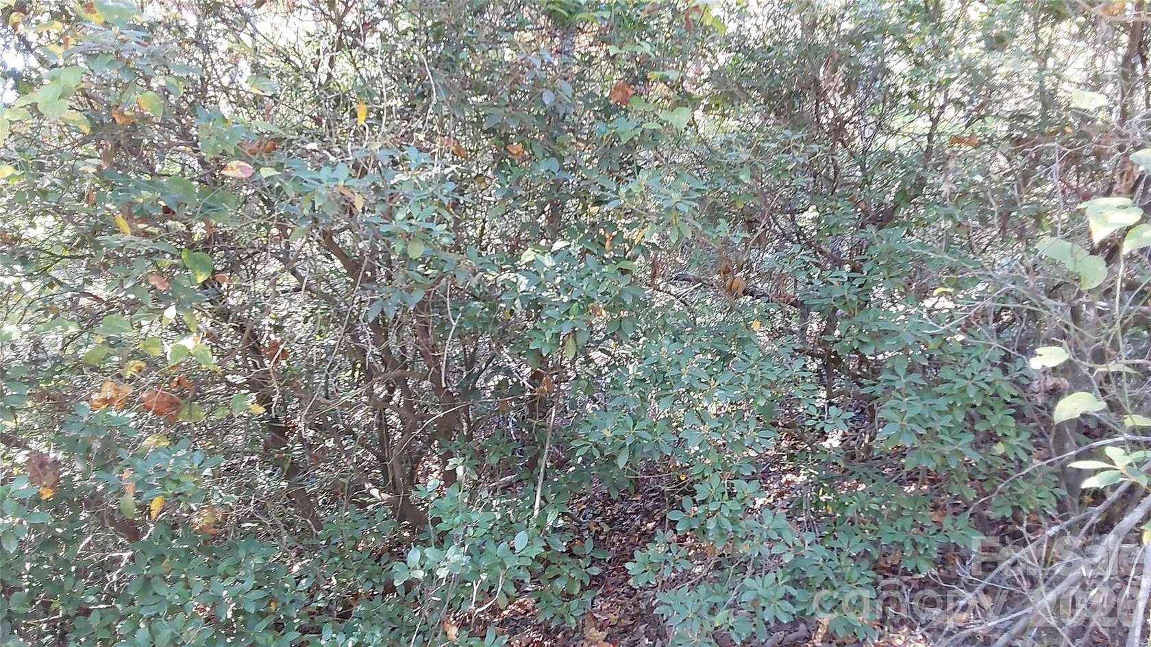 1.2 Acres of Residential Land for Sale in Lake Lure, North Carolina