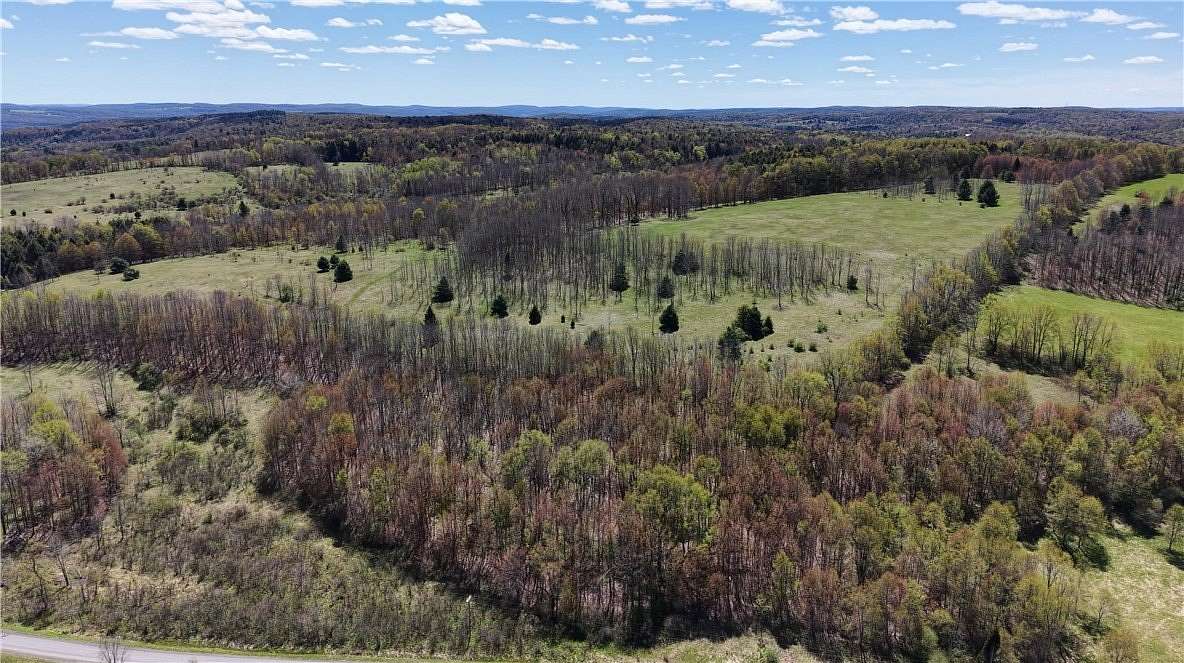 179 Acres of Land for Sale in New Berlin, New York