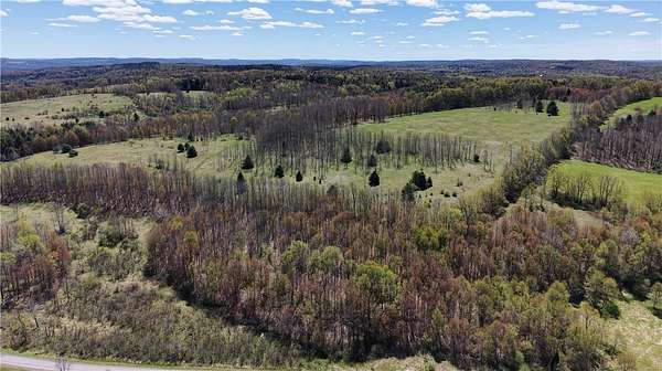 179 Acres of Land for Sale in New Berlin, New York