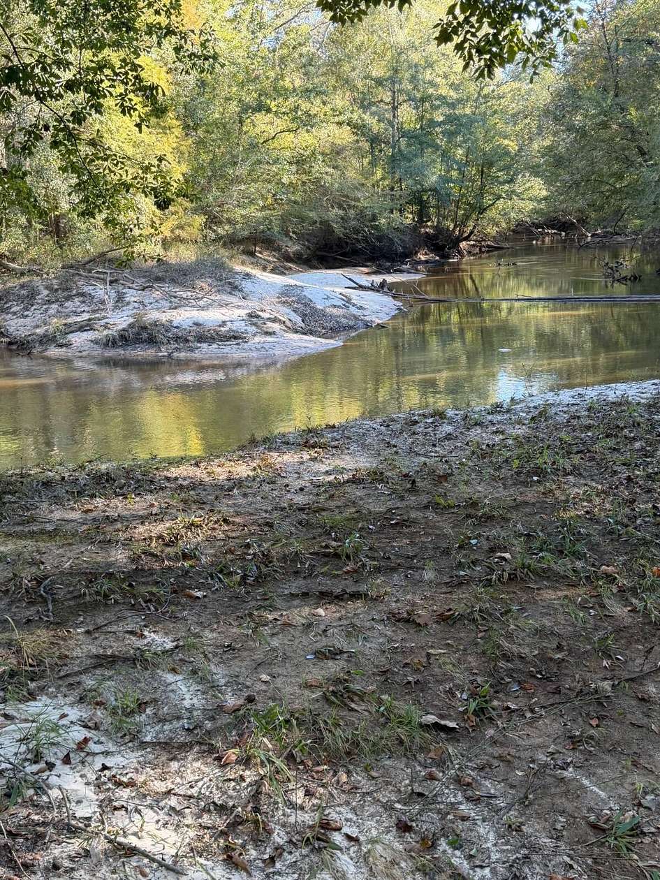 314 Acres of Recreational & Residential Land for Sale in Brantley, Alabama