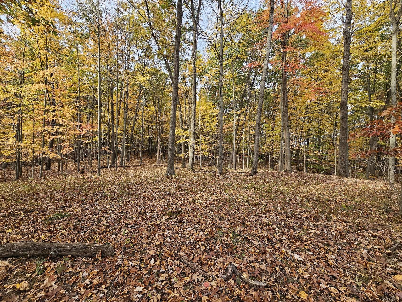 5 Acres of Residential Land for Sale in Parma, Michigan