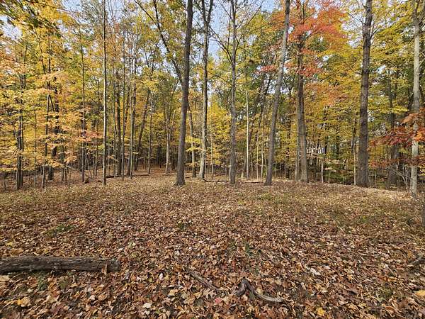 5 Acres of Residential Land for Sale in Parma, Michigan