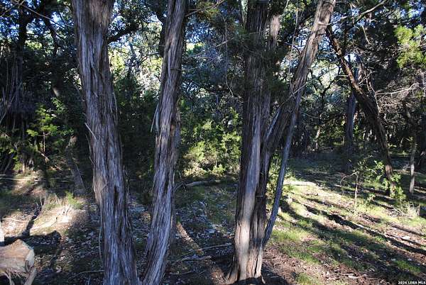 1 Acre of Land for Sale in San Antonio, Texas
