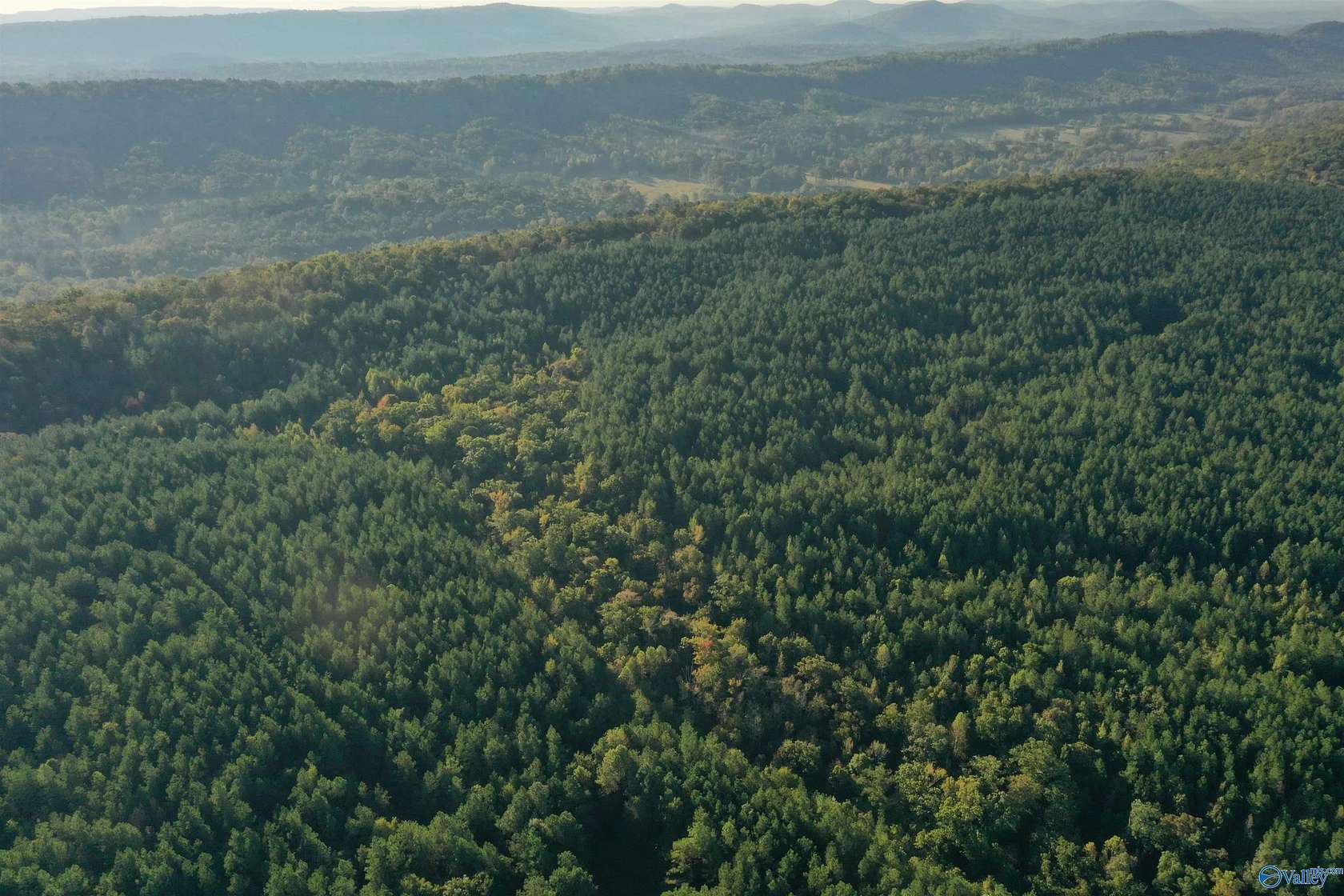 110 Acres of Recreational Land for Sale in Remlap, Alabama