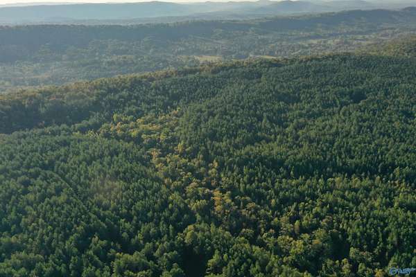 110 Acres of Recreational Land for Sale in Remlap, Alabama