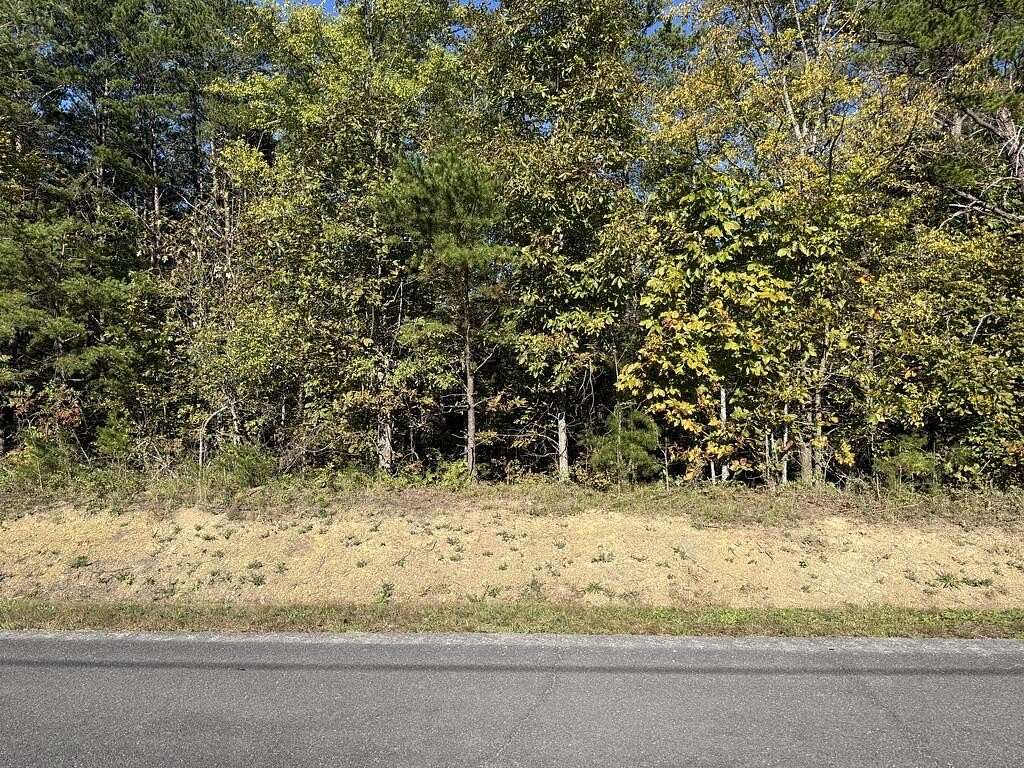 3 Acres of Residential Land for Sale in Chatsworth, Georgia