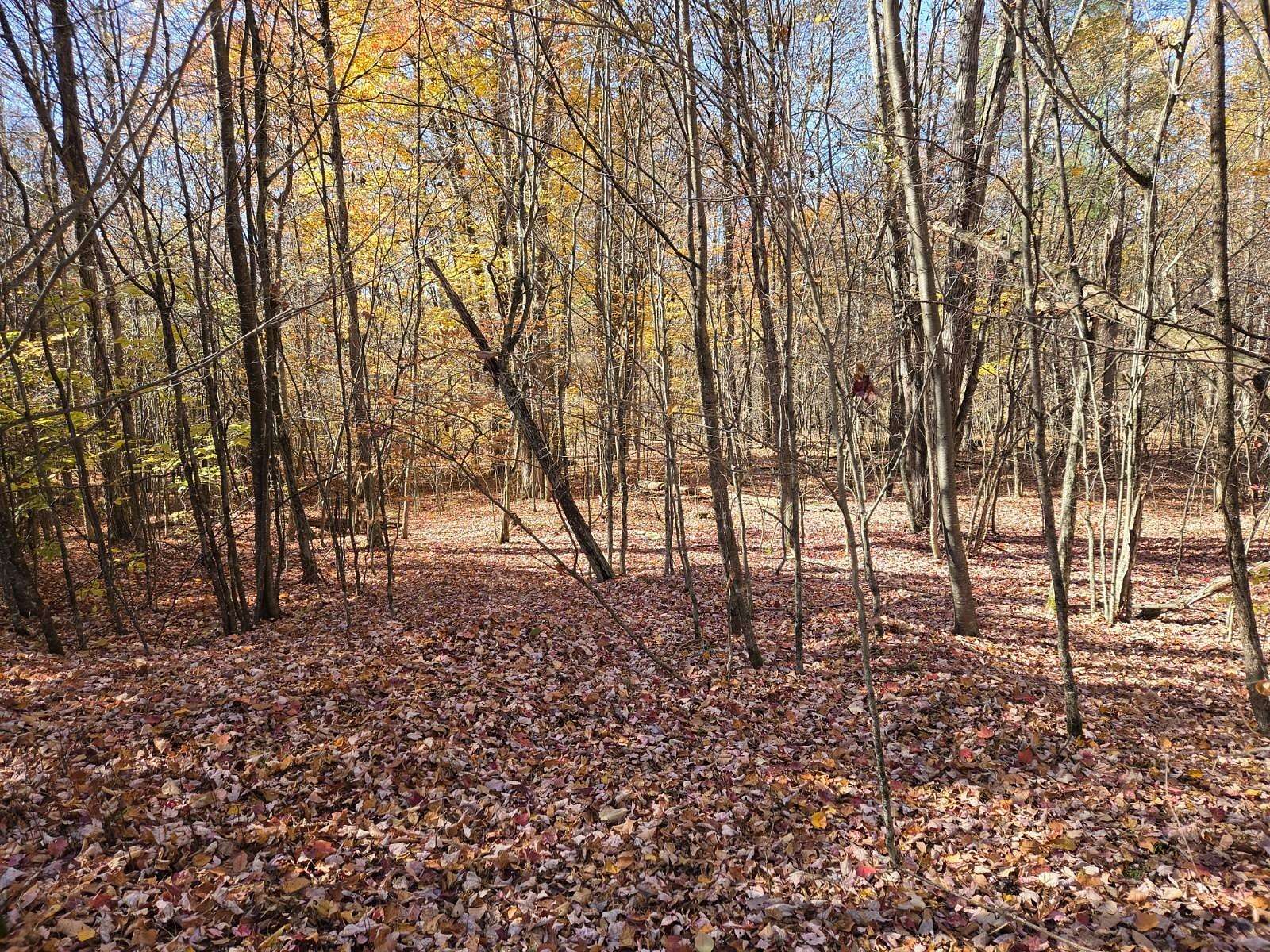 8.29 Acres of Recreational Land for Sale in Mount Upton, New York