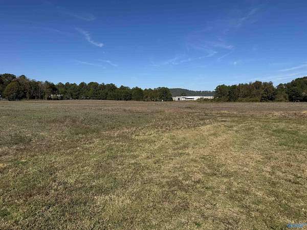 12.4 Acres of Mixed-Use Land for Sale in Leesburg, Alabama