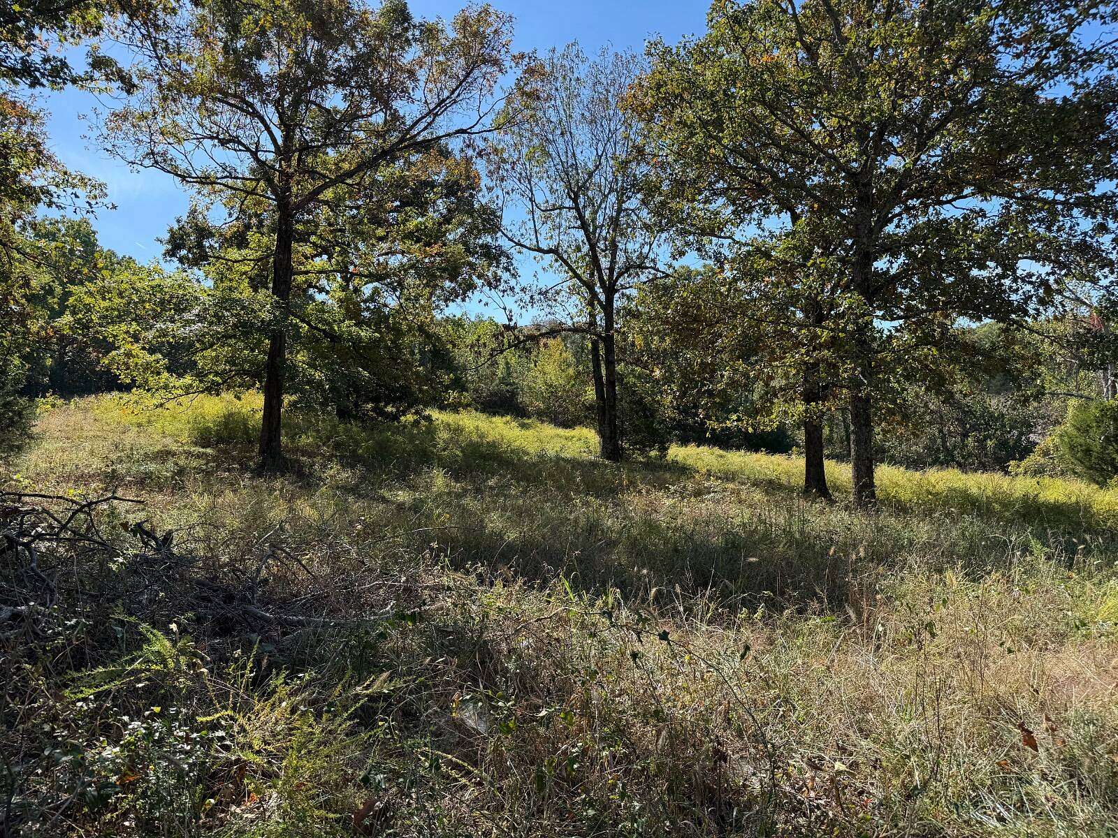 1.66 Acres of Residential Land for Sale in Cave City, Arkansas