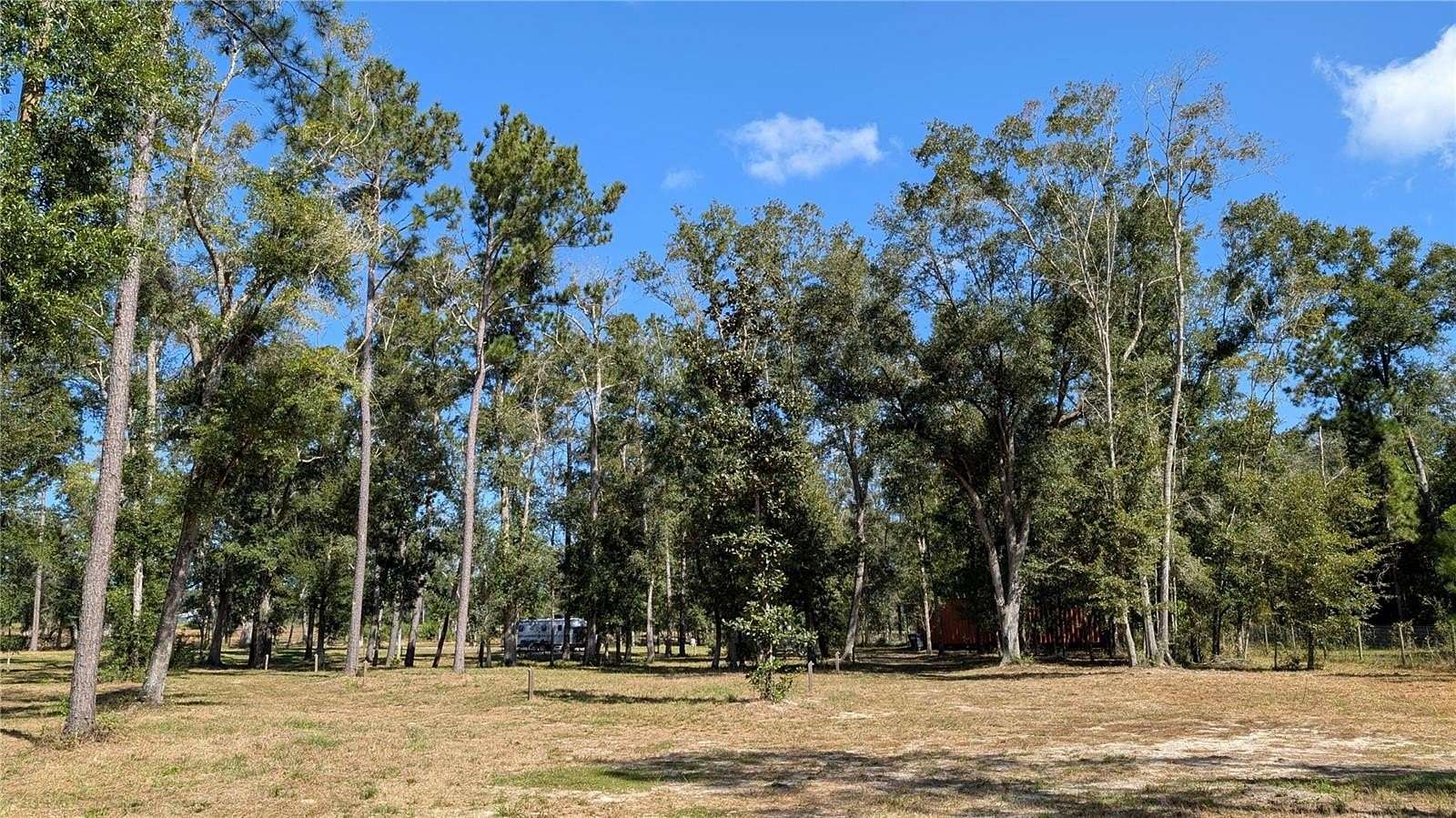 5 Acres of Residential Land for Sale in McAlpin, Florida