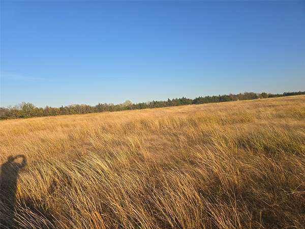 14 Acres of Land for Sale in Honey Grove, Texas