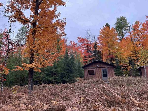 80 Acres of Improved Recreational Land for Sale in Iron River, Michigan