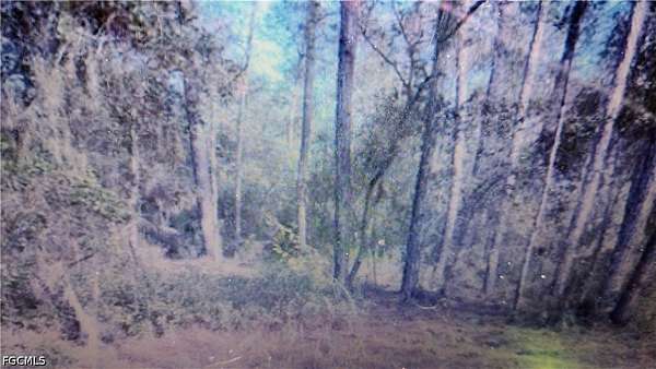 0.96 Acres of Land for Sale in Satsuma, Florida