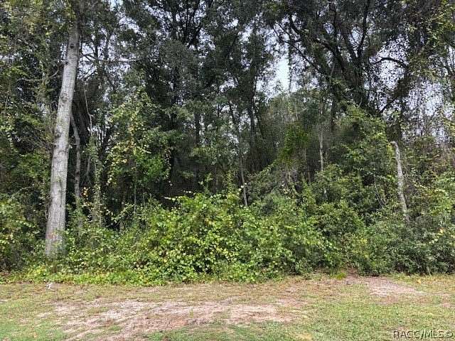 0.55 Acres of Residential Land for Sale in Crystal River, Florida