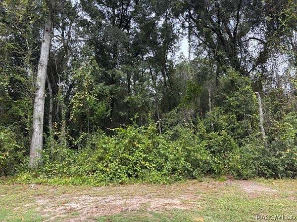 0.55 Acres of Residential Land for Sale in Crystal River, Florida