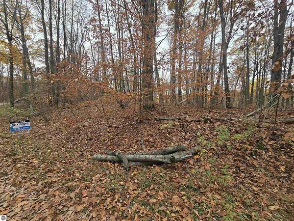 0.5 Acres of Residential Land for Sale in Reed City, Michigan