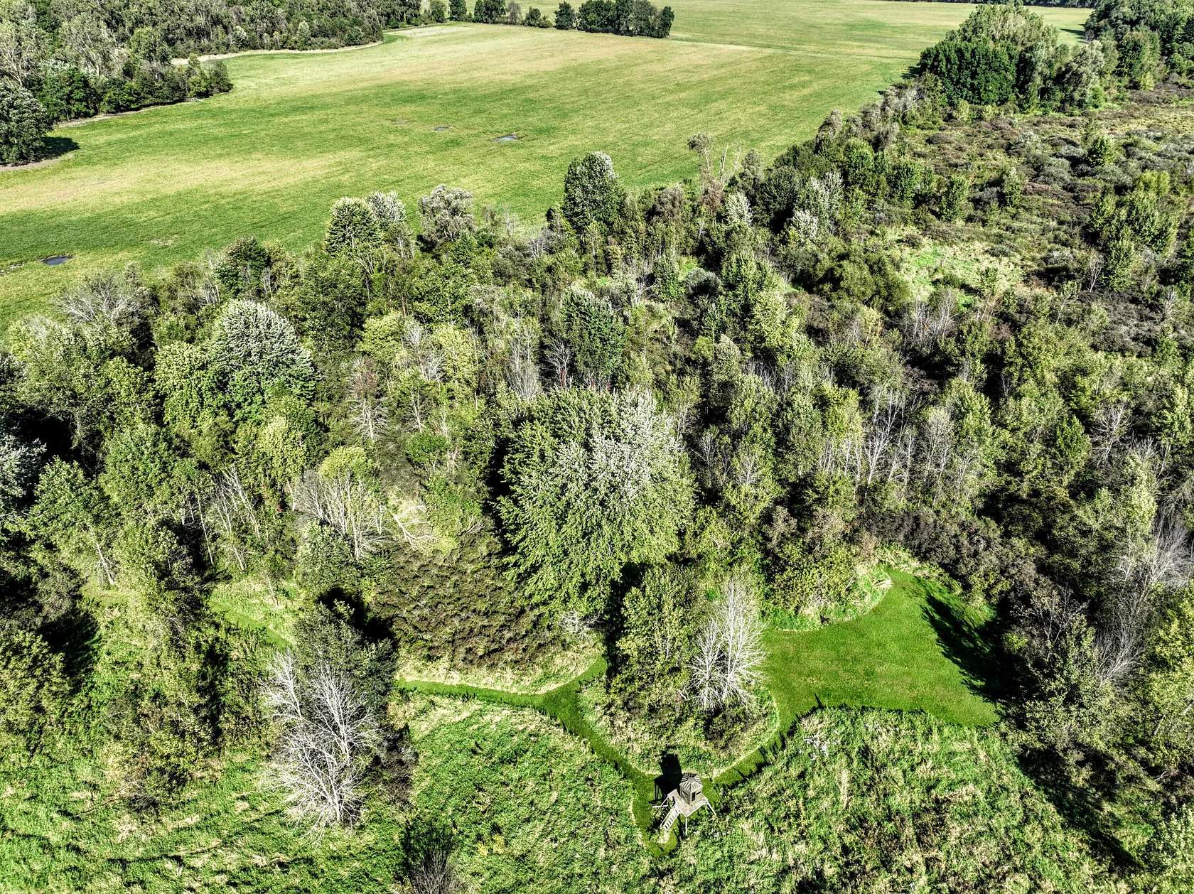 119 Acres of Land for Sale in Charlotte, Michigan