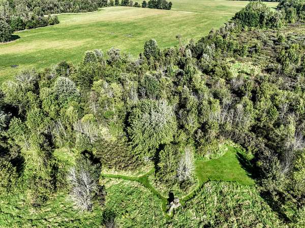 119 Acres of Land for Sale in Charlotte, Michigan