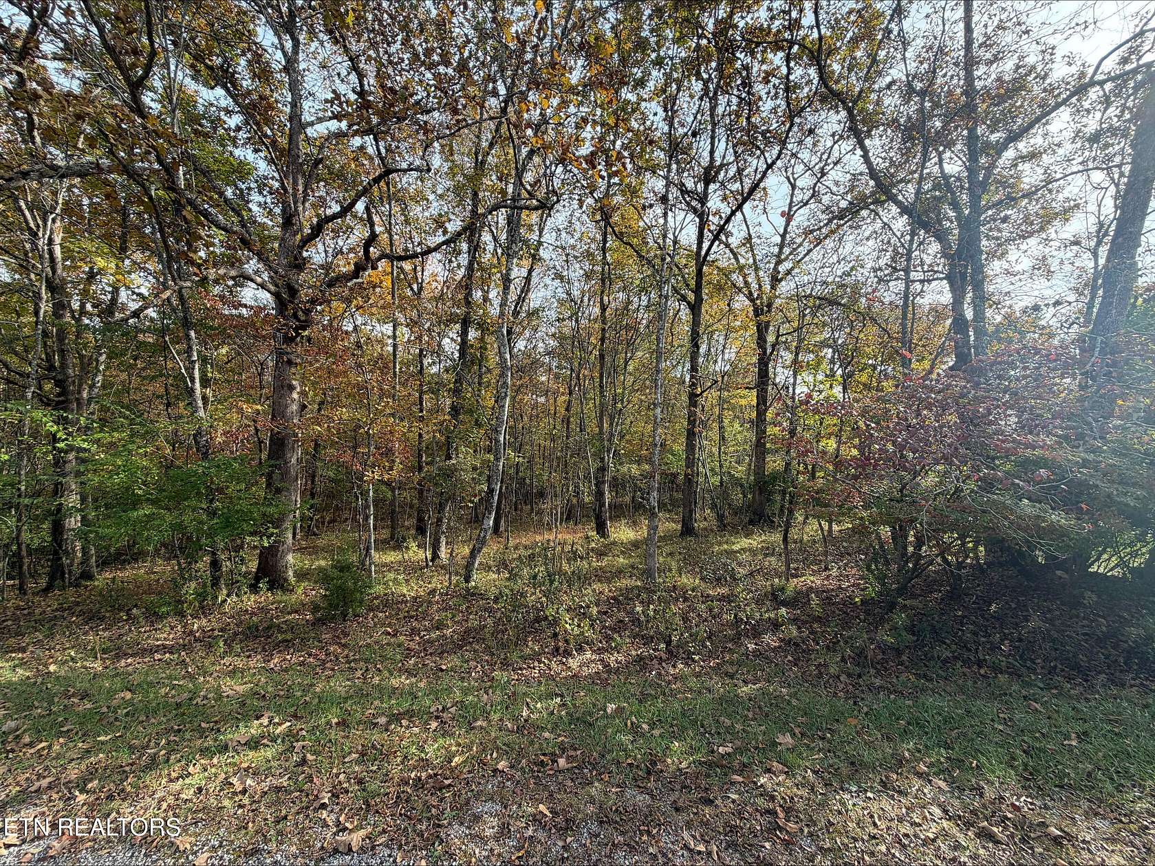 0.24 Acres of Residential Land for Sale in Fairfield Glade, Tennessee