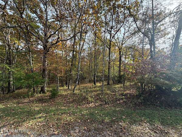 0.24 Acres of Residential Land for Sale in Fairfield Glade, Tennessee