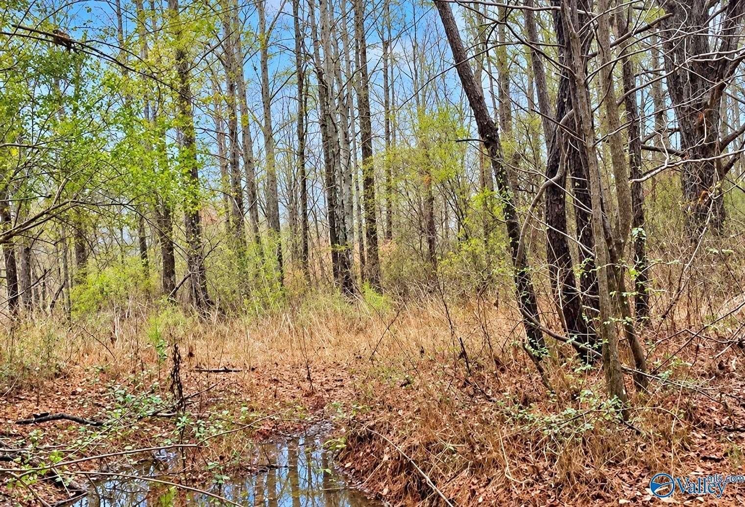 8.44 Acres of Residential Land for Sale in Vinemont, Alabama