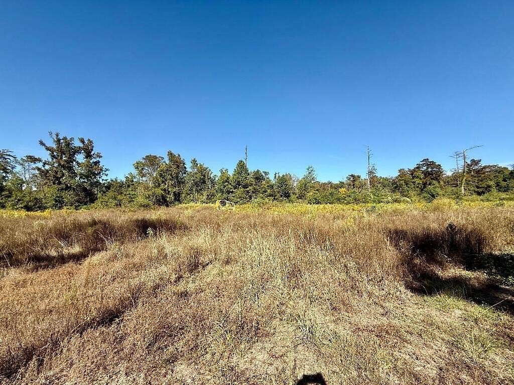 5.3 Acres of Land for Sale in Jasper, Texas