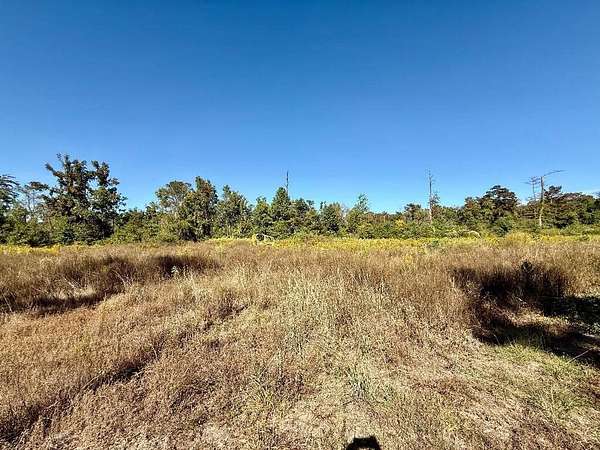 5.3 Acres of Land for Sale in Jasper, Texas